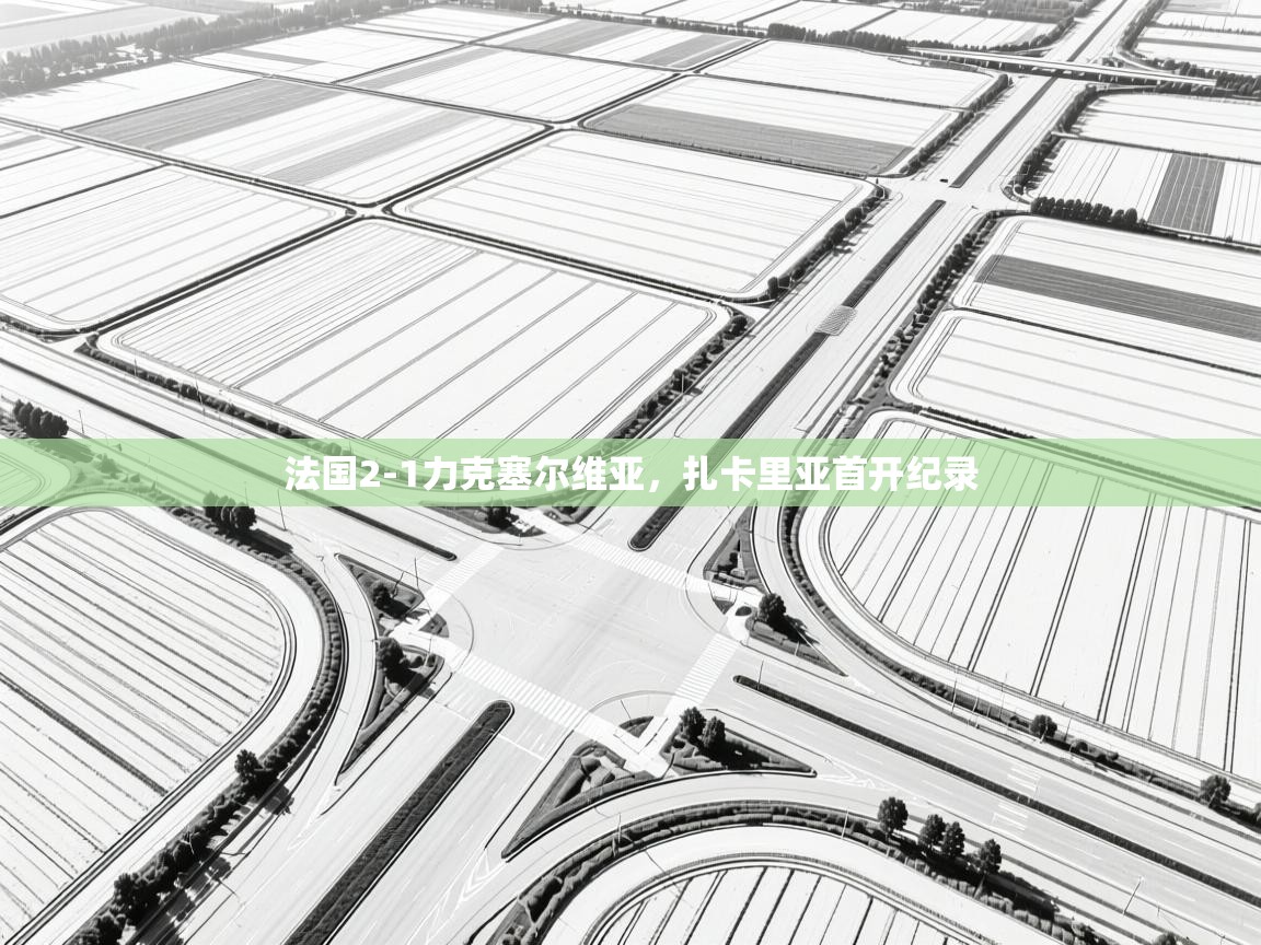 法国2-1力克塞尔维亚，扎卡里亚首开纪录  第1张