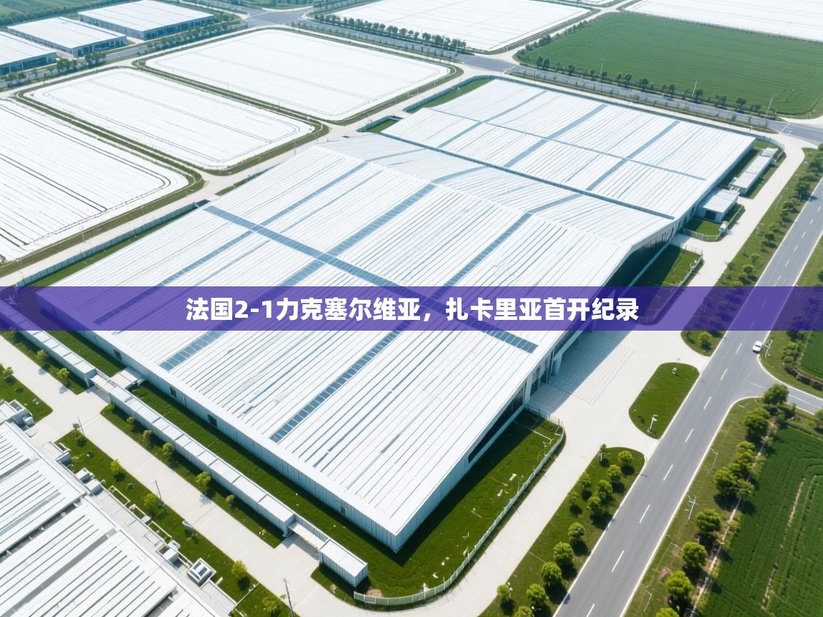 法国2-1力克塞尔维亚，扎卡里亚首开纪录  第2张