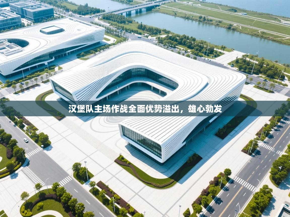 汉堡队主场作战全面优势溢出，雄心勃发  第2张