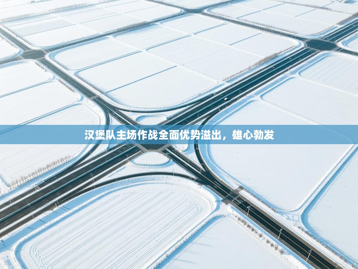 汉堡队主场作战全面优势溢出，雄心勃发  第1张